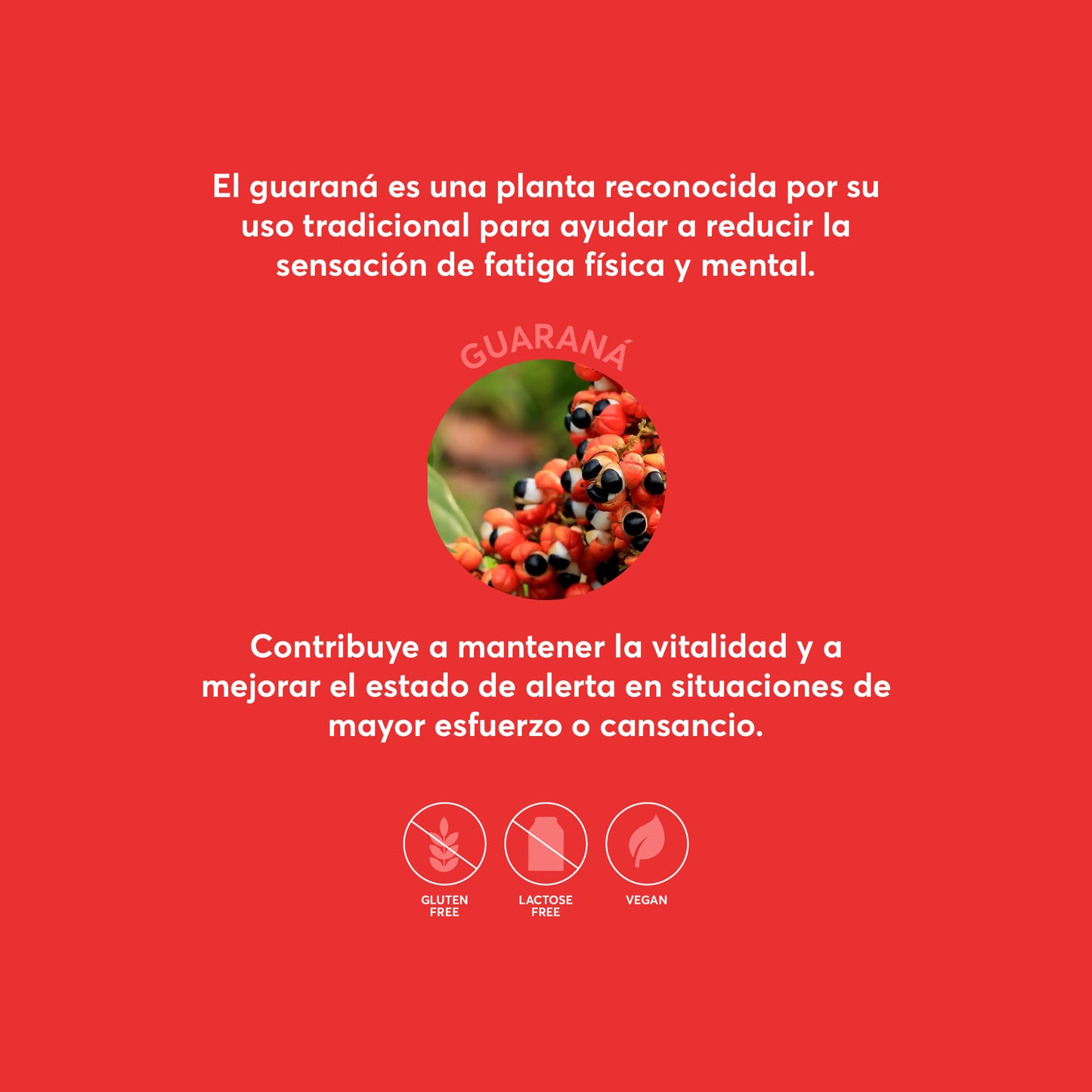 ENERGY V-Gummies | Gominolas Con Guaraná, Cafeína y Vitamina C | Energía para el Día